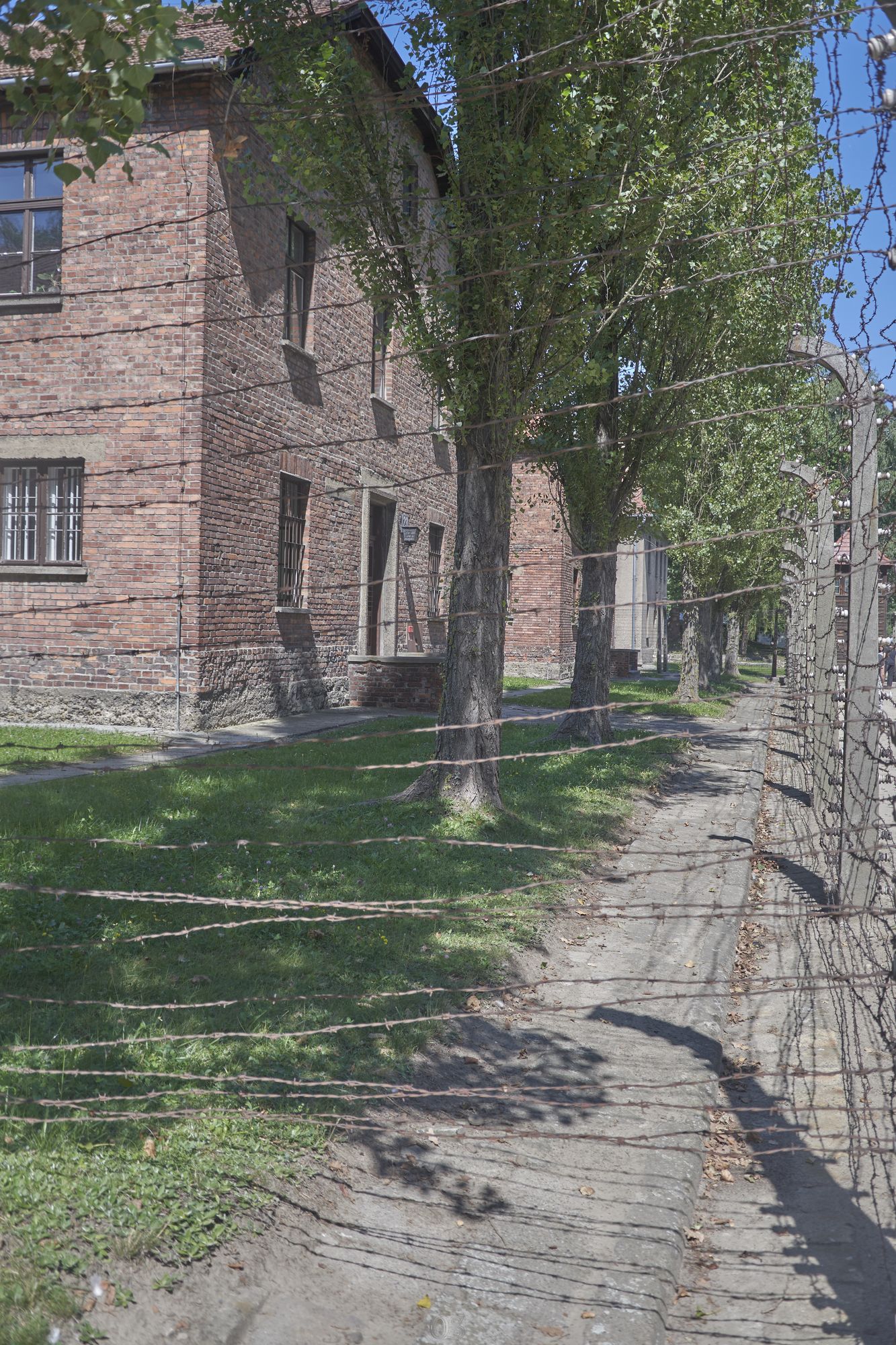 Auschwitz 70.jpg